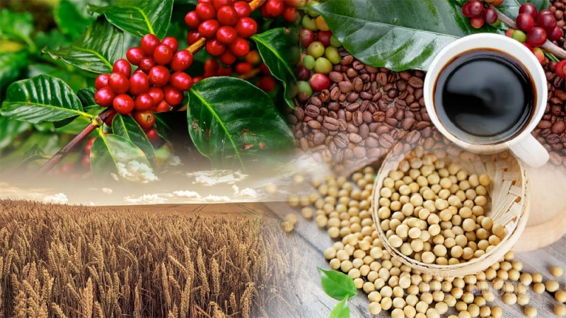 Thị trường hàng hóa hôm nay ngày 8/9/2023: Dầu WTI kết thúc phiên trong sắc đỏ, đậu tương giảm mạnh