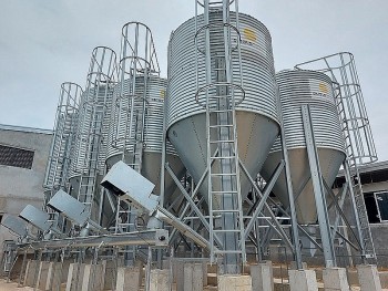 Bộ Nông nghiệp và Phát triển nông thôn đồng thuận nuôi lợn trong nhà cao tầng