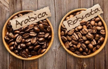 Giá cà phê Arabica tiếp tục suy yếu