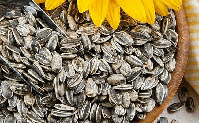 Hạt hướng dương chứa rất nhiều chất dinh dưỡng