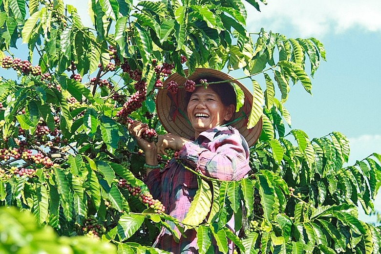 Hình minh họa Hình minh họa