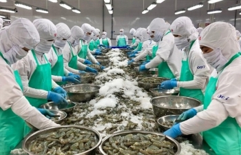 Xuất khẩu thủy sản Việt Nam sang Mỹ tăng 80% sau 10 năm