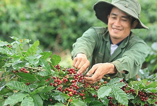 Hình minh họa Hình minh họa