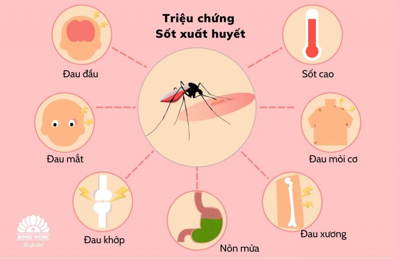 Nhận biết sốt xuất huyết sớm nhất là yếu tố quan trọng để điều trị sốt xuất huyết thành công Nhận biết sốt xuất huyết sớm nhất là yếu tố quan trọng để điều trị sốt xuất huyết thành công