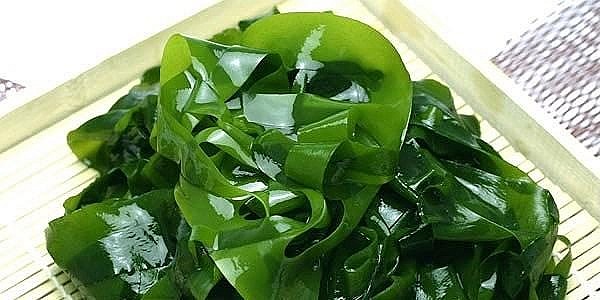 tảo biển có đến hơn 60% là các acid amin để cấu thành nên collagen tảo biển có đến hơn 60% là các acid amin để cấu thành nên collagen