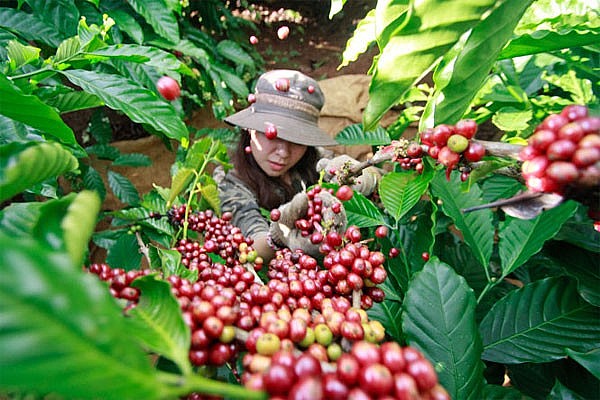 Hình minh họa Hình minh họa