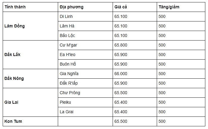 Giá cà phê trong nước ngày 12/9/2023 Giá cà phê trong nước ngày 12/9/2023