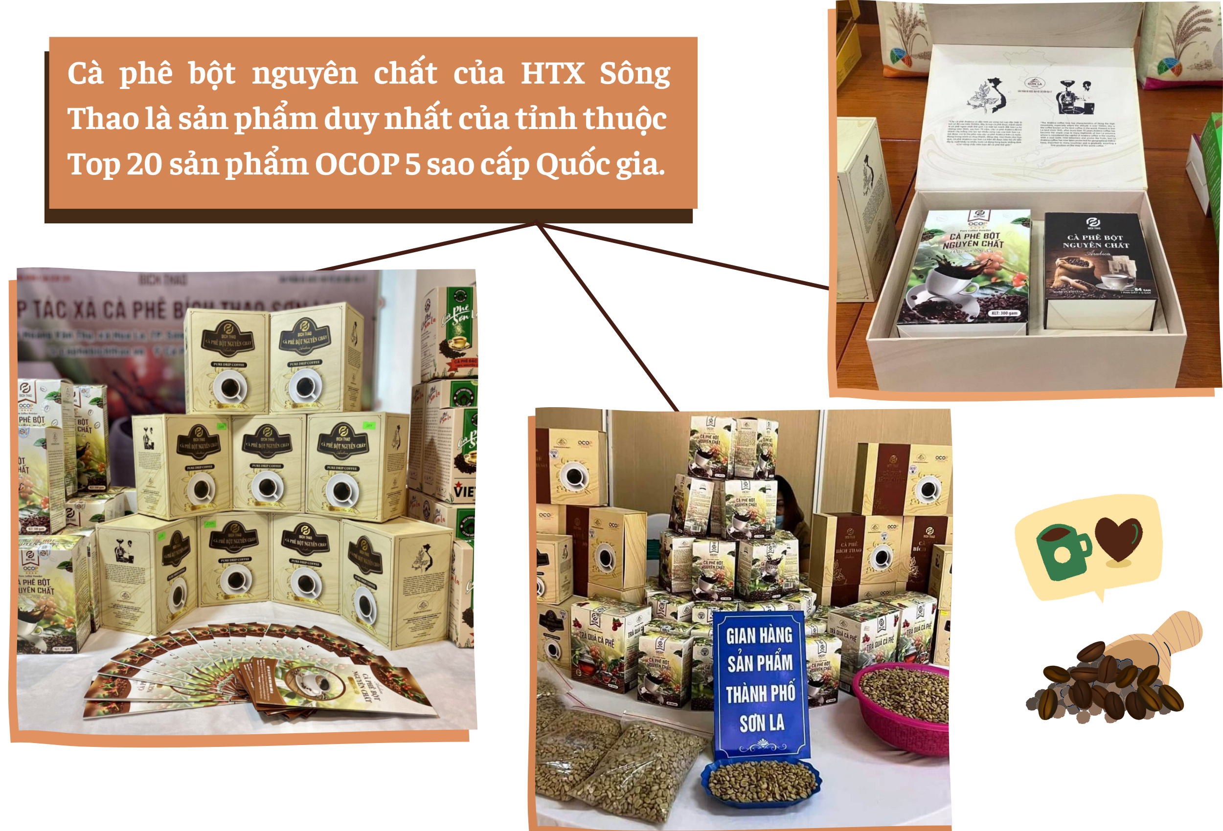 Longform | Cà phê Sơn La: Từ cây giảm nghèo đến thương hiệu vươn tầm thế giới Longform | Cà phê Sơn La: Từ cây giảm nghèo đến thương hiệu vươn tầm thế giới