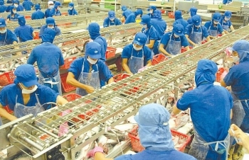 Thêm cơ hội xuất khẩu cá tra sang Mỹ