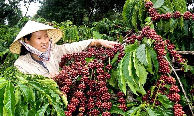 Hình minh họa Hình minh họa
