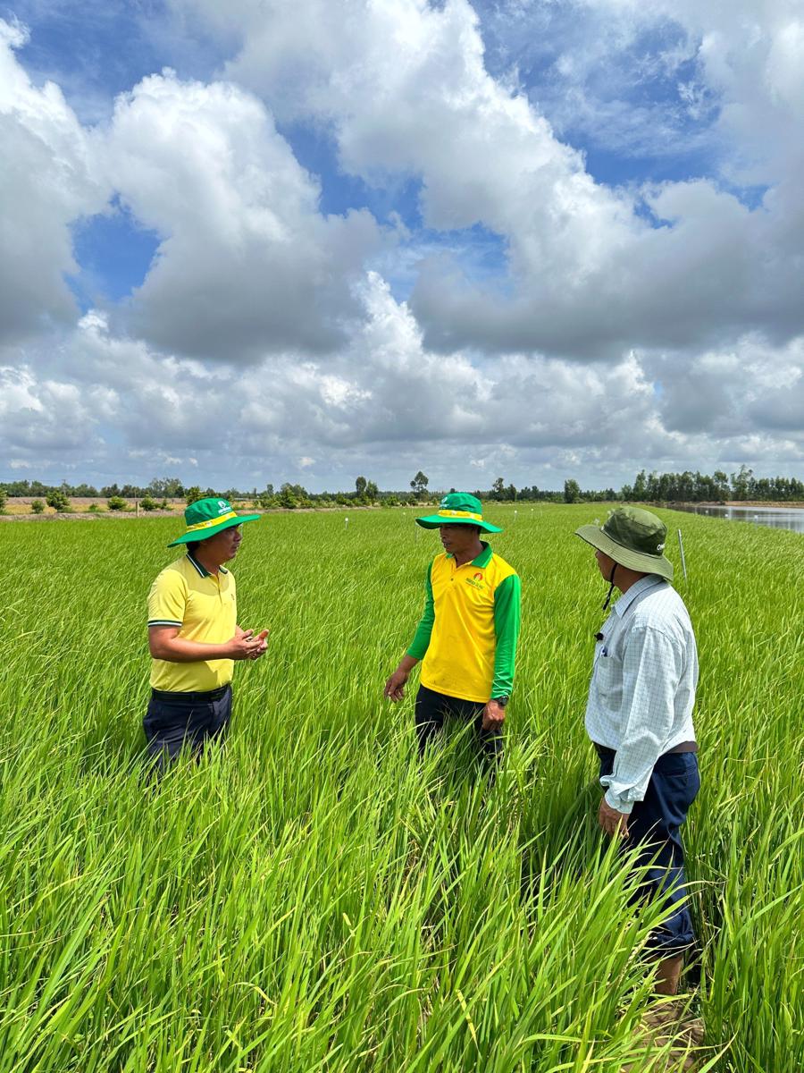 Phân bón Cà Mau đồng hành góp giá trị tại lễ hội nông sản Việt