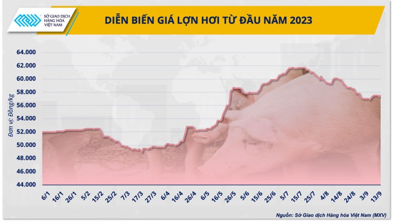 Giá nguyên liệu thức ăn chăn nuôi giảm có ‘gợi ý’ cho việc tăng tái đàn? Giá nguyên liệu thức ăn chăn nuôi giảm có ‘gợi ý’ cho việc tăng tái đàn?