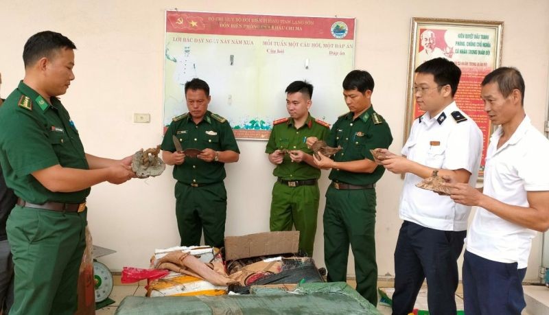 Điểm tin Chống buôn lậu ngày 13/9: Bắt hơn 200kg pháo lậu và tạm giữ ô tô chở hàng không rõ nguồn gốc Điểm tin Chống buôn lậu ngày 13/9: Bắt hơn 200kg pháo lậu và tạm giữ ô tô chở hàng không rõ nguồn gốc