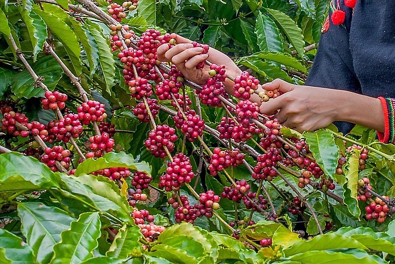 Hình minh họa Hình minh họa