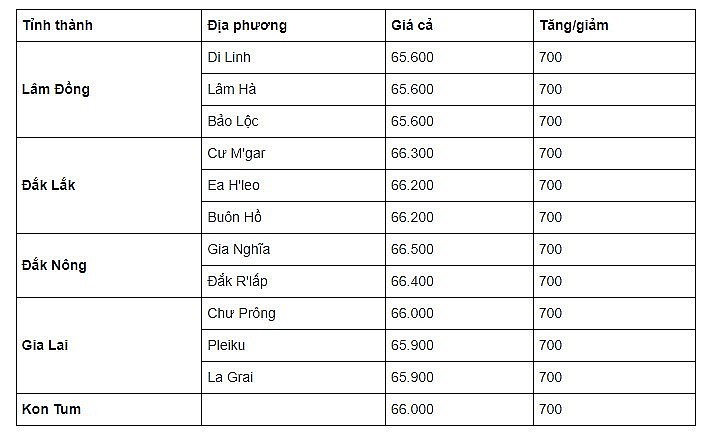 Thị trường cà phê trong nước ngày 14/9/2023 Thị trường cà phê trong nước ngày 14/9/2023