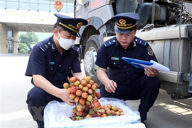 Việt Nam-Trung Quốc: Cơ hội mới trong hợp tác thương mại song phương hình ảnh 3 Viet Nam-Trung Quoc: Co hoi moi trong hop tac thuong mai song phuong hinh anh 3