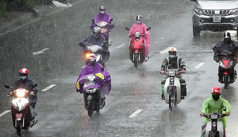 Hình minh họa Hình minh họa