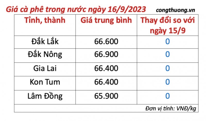 Giá cà phê hôm nay, ngày 16/9/2023: Giá cà phê trong nước