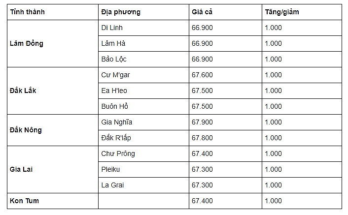 Thị trường cà phê trong nước ngày 16/9/2023 Thị trường cà phê trong nước ngày 16/9/2023