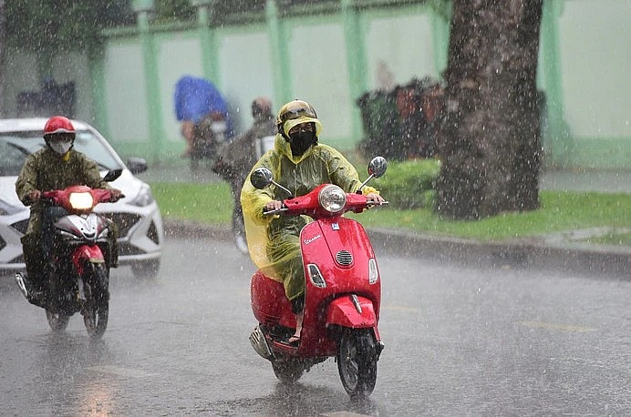 Ảnh minh họa Ảnh minh họa