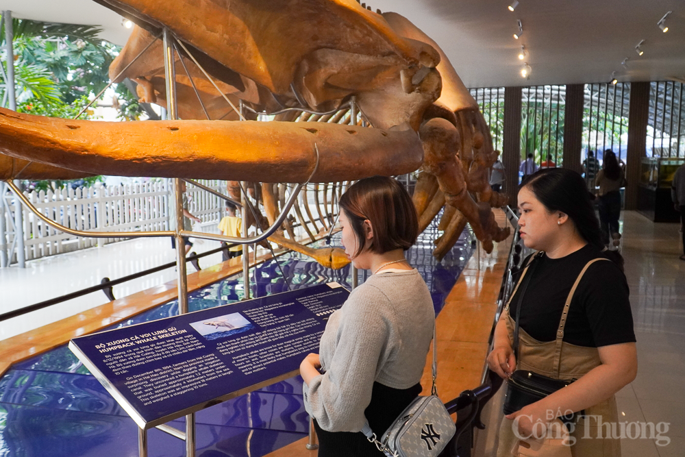 Chiêm ngưỡng bộ xương cá voi dài 18m, nặng 10 tấn ở Nha Trang Chiêm ngưỡng bộ xương cá voi dài 18m, nặng 10 tấn ở Nha Trang