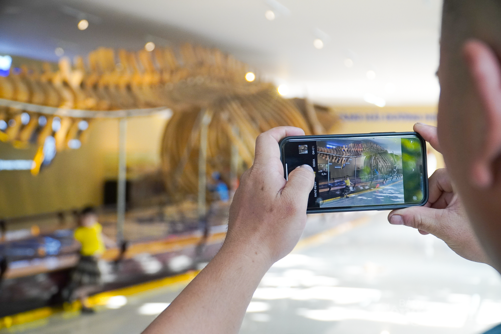 Chiêm ngưỡng bộ xương cá voi dài 18m, nặng 10 tấn ở Nha Trang Chiêm ngưỡng bộ xương cá voi dài 18m, nặng 10 tấn ở Nha Trang