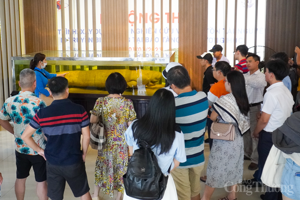 Chiêm ngưỡng bộ xương cá voi dài 18m, nặng 10 tấn ở Nha Trang Chiêm ngưỡng bộ xương cá voi dài 18m, nặng 10 tấn ở Nha Trang