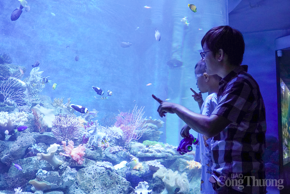 Chiêm ngưỡng bộ xương cá voi dài 18m, nặng 10 tấn ở Nha Trang Chiêm ngưỡng bộ xương cá voi dài 18m, nặng 10 tấn ở Nha Trang