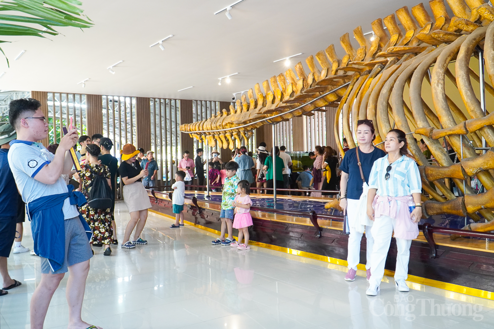 Chiêm ngưỡng bộ xương cá voi dài 18m, nặng 10 tấn ở Nha Trang Chiêm ngưỡng bộ xương cá voi dài 18m, nặng 10 tấn ở Nha Trang