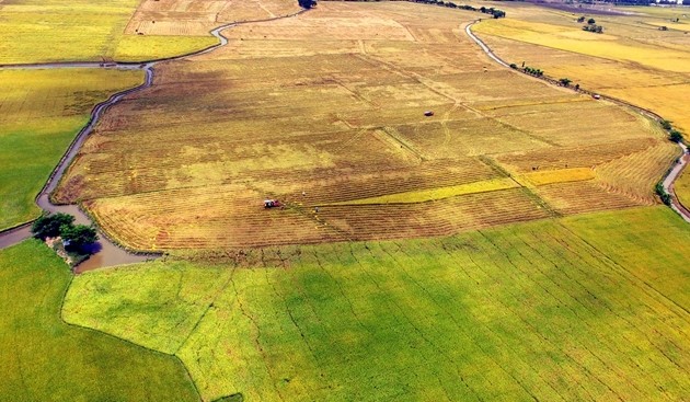 Phát hiện hành vi có dấu hiệu phạm tội, Thanh tra tỉnh Cà Mau chuyển hồ sơ sang Cơ quan Điều tra, Công an tỉnh Phát hiện hành vi có dấu hiệu phạm tội, Thanh tra tỉnh Cà Mau chuyển hồ sơ sang Cơ quan Điều tra, Công an tỉnh