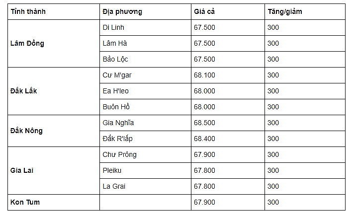 Thị trường cà phê trong nước ngày 16/9/2023 Thị trường cà phê trong nước ngày 16/9/2023