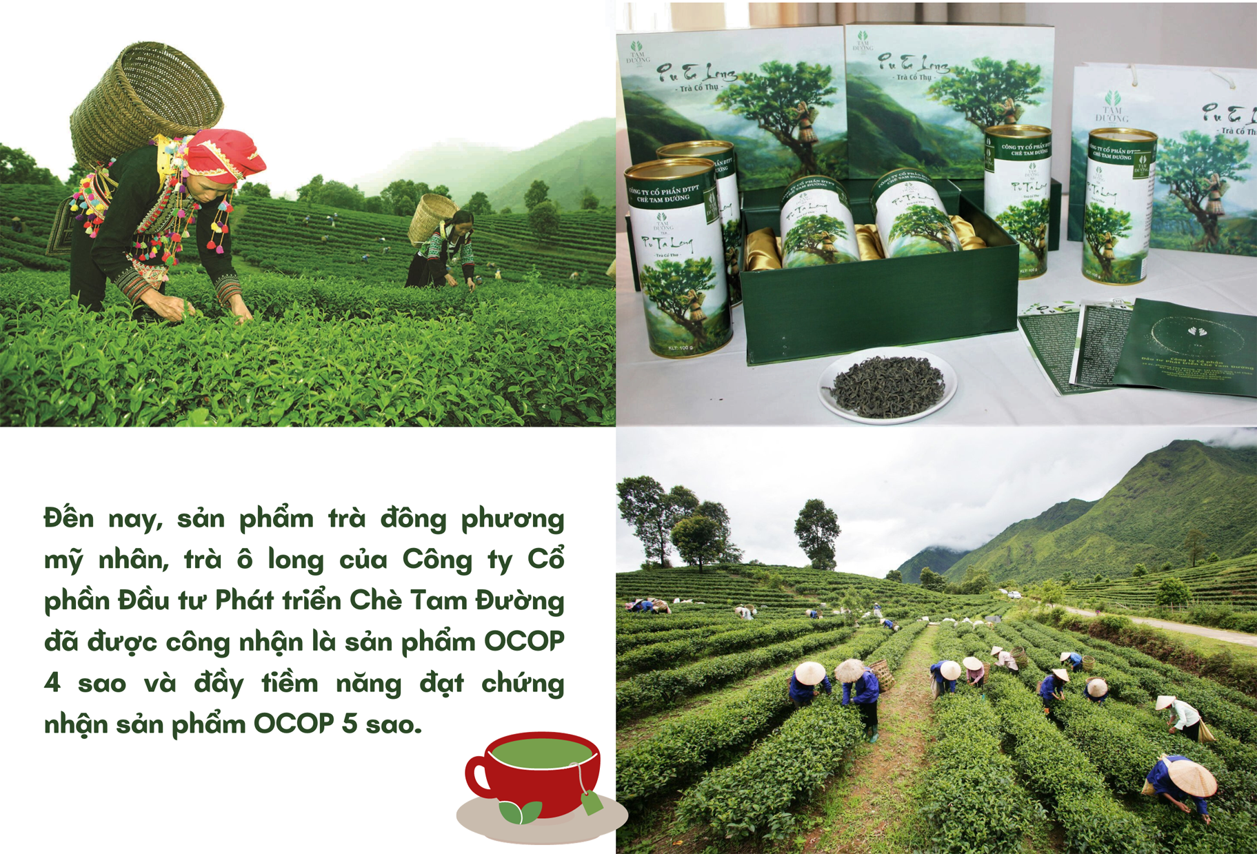 Longform | “Khoác áo mới” cho các sản phẩm đặc trưng Lai Châu