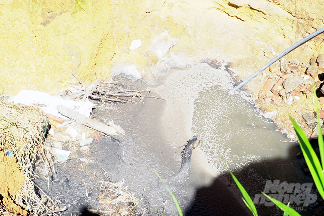 2-071426_601-071426.jpg Dòng nước đen ngòm chảy ra từ hệ thống thoát nước của Công ty Đức Hiền. Ảnh: Võ Dũng.