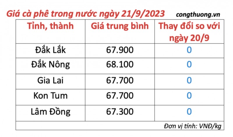 Giá cà phê hôm nay, ngày 21/9/2023: Giá cà phê trong nước