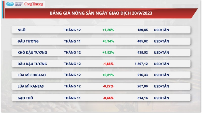 Thị trường hàng hóa hôm nay ngày 21/9/2023, dầu WTI mất mốc 90 USD/thùng, giá đậu tương hồi phục Thị trường hàng hóa hôm nay ngày 21/9/2023, dầu WTI mất mốc 90 USD/thùng, giá đậu tương hồi phục