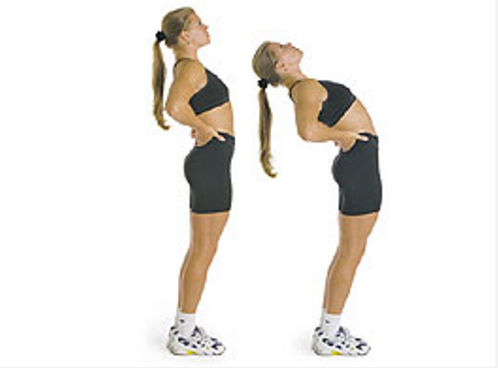 3 động tác đơn giản ngừa đau lưng cho dân công sở 3 động tác đơn giản ngừa đau lưng cho dân công sở