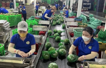 Đáp ứng tiêu chuẩn xanh của thị trường EU: Doanh nghiệp không nên quá lo lắng