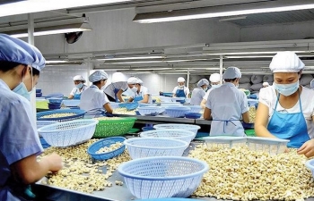 Xuất khẩu điều kỳ vọng có thể 