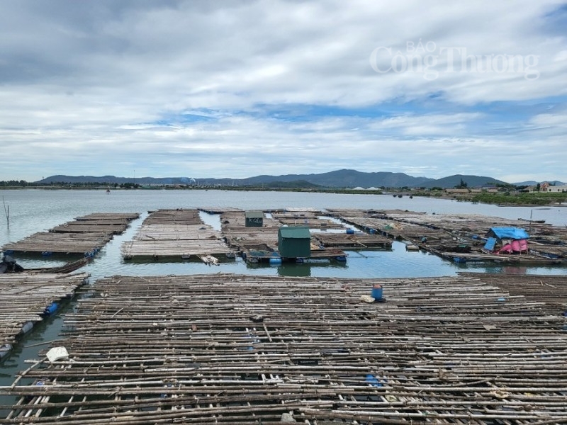 Hơn 50 nghìn tỷ đồng cho doanh nghiệp ở Thanh Hóa vay vốn phát triển sản xuất kinh doanh Hơn 50 nghìn tỷ đồng cho doanh nghiệp ở Thanh Hóa vay vốn phát triển sản xuất kinh doanh