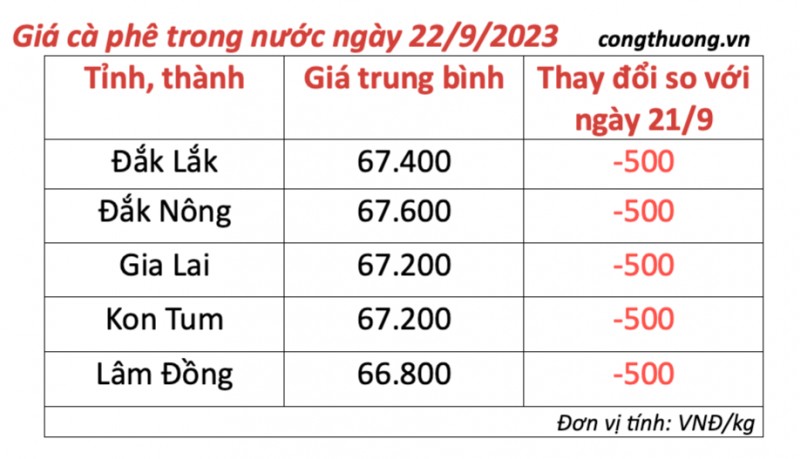 Giá cà phê hôm nay, ngày 22/9/2023: Giá cà phê trong nước giảm mạnh