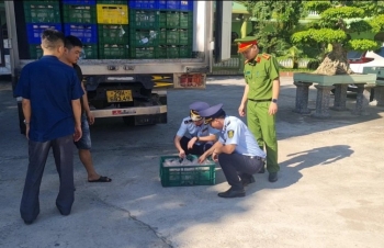 Nghệ An: Xử lý 8 tấn thịt gà đông lạnh vi phạm an toàn thực phẩm