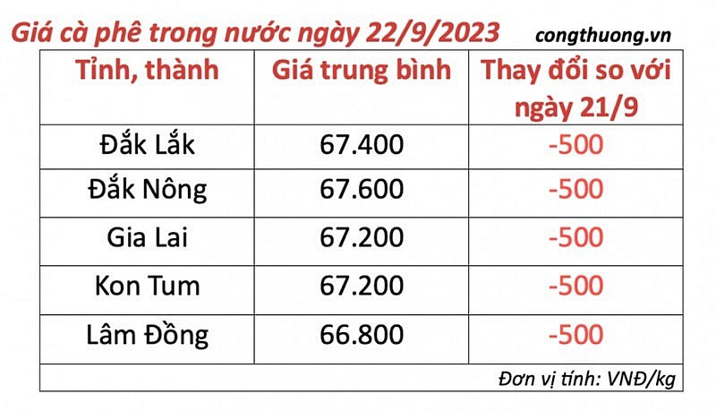 Thị trường cà phê trong nước ngày 22/9/2023 Thị trường cà phê trong nước ngày 22/9/2023