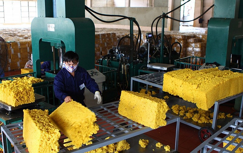 Việt Nam là thị trường cung cấp cao su lớn thứ 8 cho Nhật Bản Việt Nam là thị trường cung cấp cao su lớn thứ 8 cho Nhật Bản