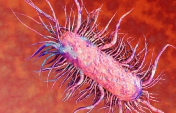 Các biện pháp phòng ngừa bệnh Whitmore 