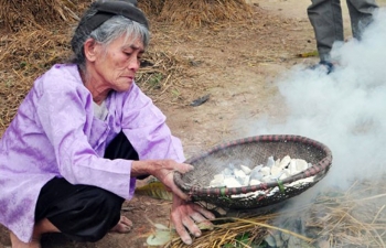 Loại đất hiếm có ở Việt Nam, ăn được như kẹo, giá hàng trăm nghìn/kg