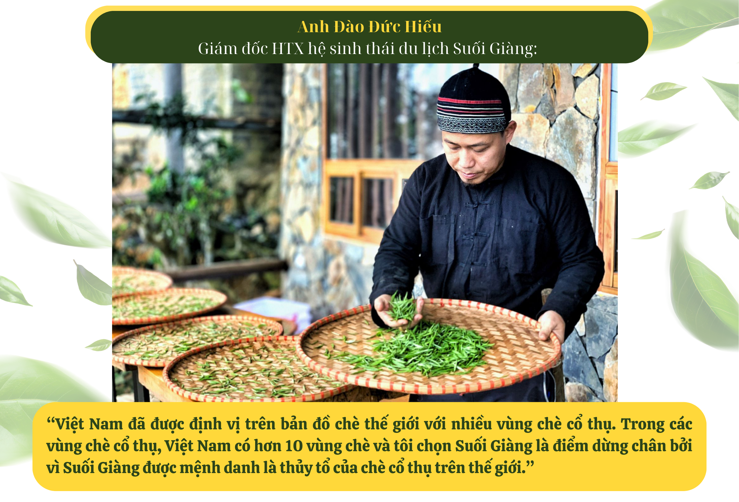 Longform | Chè Suối Giàng và ước mơ thương hiệu quốc gia, vươn tầm quốc tế Longform | Chè Suối Giàng và ước mơ thương hiệu quốc gia, vươn tầm quốc tế