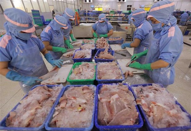 Cơ hội, thách thức trong giai đoạn tới của xuất khẩu nông sản chủ lực hình ảnh 3 Co hoi, thach thuc trong giai doan toi cua xuat khau nong san chu luc hinh anh 3