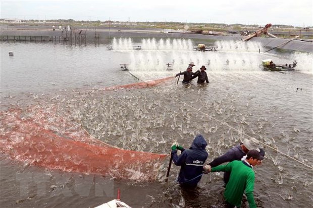 Cơ hội, thách thức trong giai đoạn tới của xuất khẩu nông sản chủ lực hình ảnh 5 Co hoi, thach thuc trong giai doan toi cua xuat khau nong san chu luc hinh anh 5