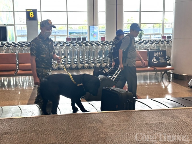 Ban Chỉ đạo 389 Hà Nội: Kiểm tra công tác chống buôn lậu qua cảng hàng không quốc tế Nội Bài