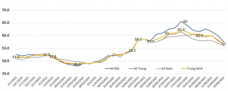 Giá heo hơi quay đầu giảm, người chăn nuôi có lãi? Giá heo hơi quay đầu giảm, người chăn nuôi có lãi?
